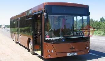 Автобус МАЗ 203116